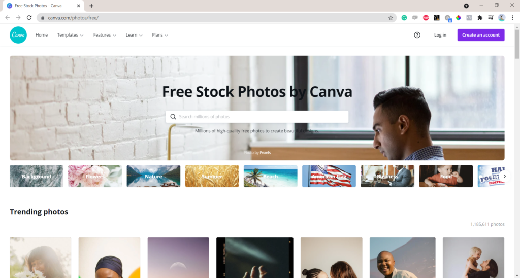 Canva 30+ database free pictures for presentation